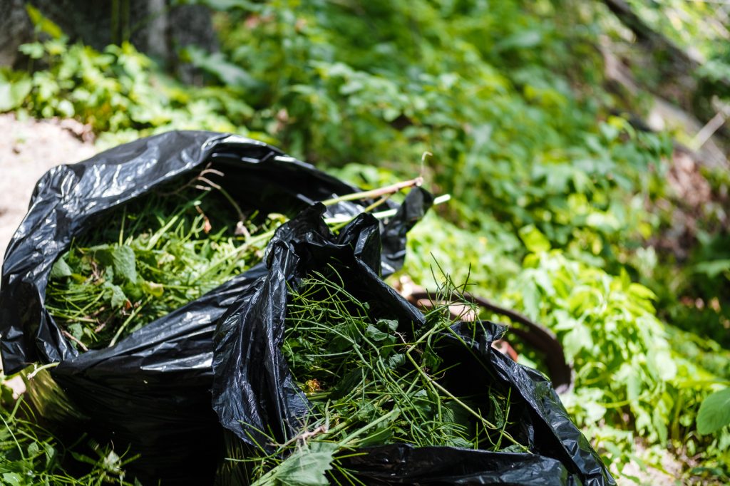 Just a few of the bags of weeds that we filled during our volunteer afternoon